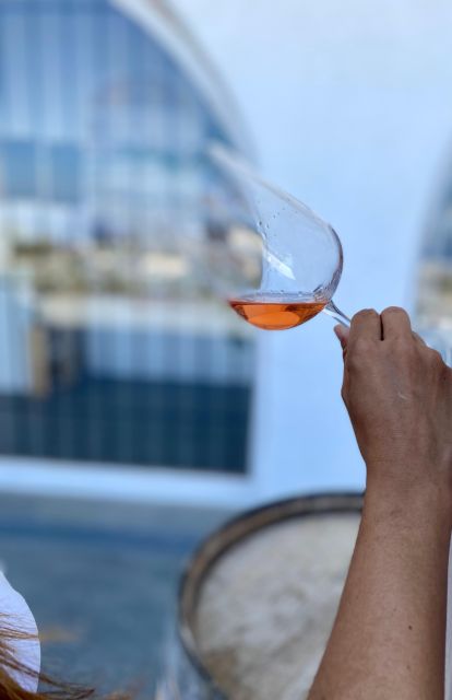 Santorini Fun day: Horseriding- Wine Tasting - Tapas - The south-coast horse ride: volcanic views and real riding time