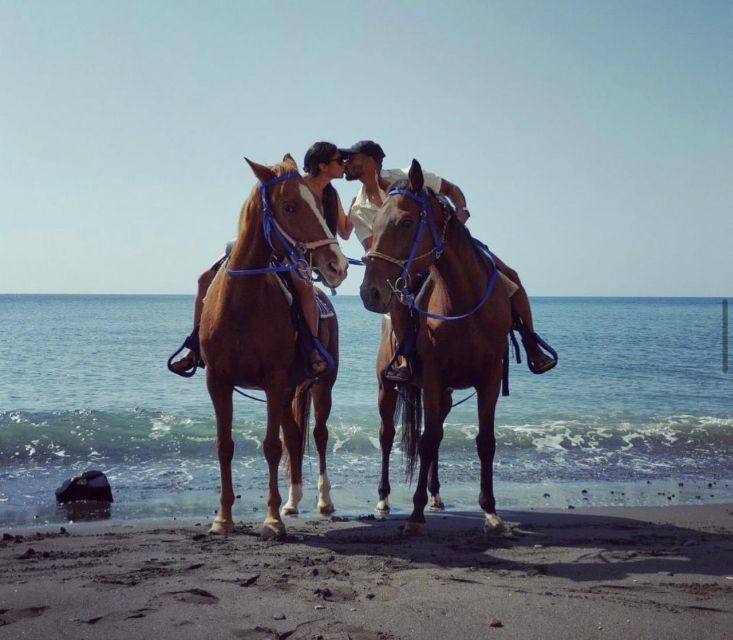 Santorini Fun day: Horseriding- Wine Tasting - Tapas - Free pickup sets you up for an easier start