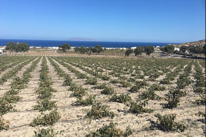 Santorini Wine Adventure with 12 Wine Tastings, Tapas and Sunset - Pickup, timing, and why Santorini slopes affect the whole day