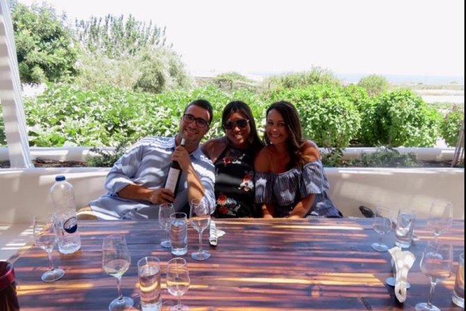 Santorini Wine Adventure with 12 Wine Tastings, Tapas and Sunset - Estate Argyros: where the first tastings feel grounded