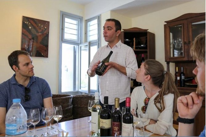 Santorini Wine Adventure with 12 Wine Tastings, Tapas and Sunset - Guides matter here: what you’ll get from leaders like Elena and Angelo