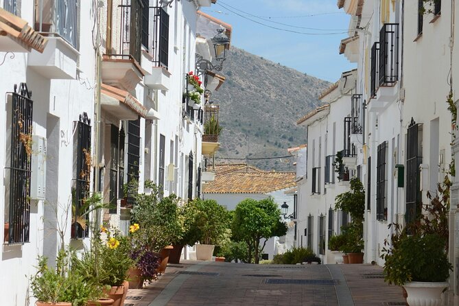 Self Guided Wine and Tapas Walking Tour - Six Stops, Six Pairings: What the Wine-and-Tapas Schedule Really Means