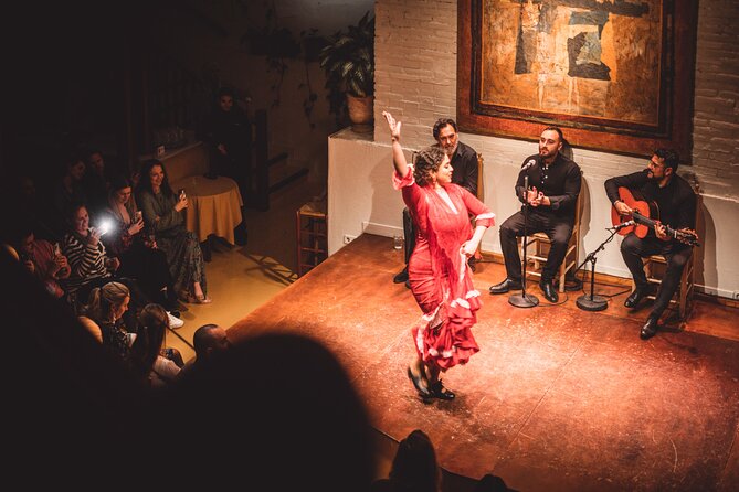 Seville Private Tapas & Wine Experience with Flamenco Show - Who should book this Seville tapas + flamenco tour