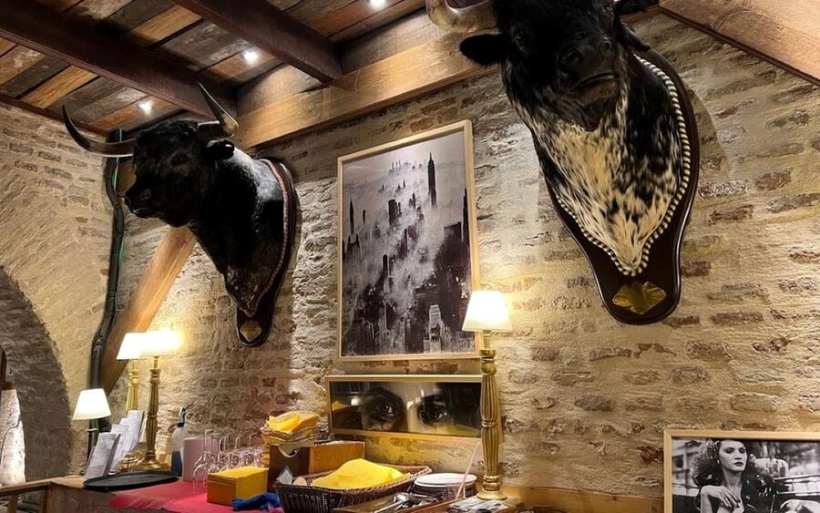 Seville: Tapas Dinner and Flamenco Show - Key highlights you’ll actually feel in the evening