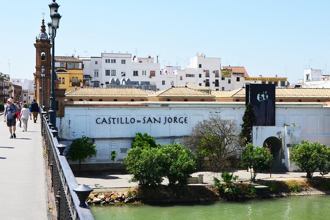 Sevillian tapas tasting on a bicycle (3 bars-3 tapas-3 drinks) - Biking Through Seville: Views, Comfort, and Staying Focused