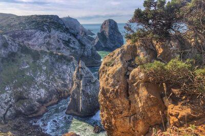 Sintra Cascais (Wine and Tapas) 4X4 Land Rover Panoramic Private Tour - The food plan: wine and tapas early, then snack support