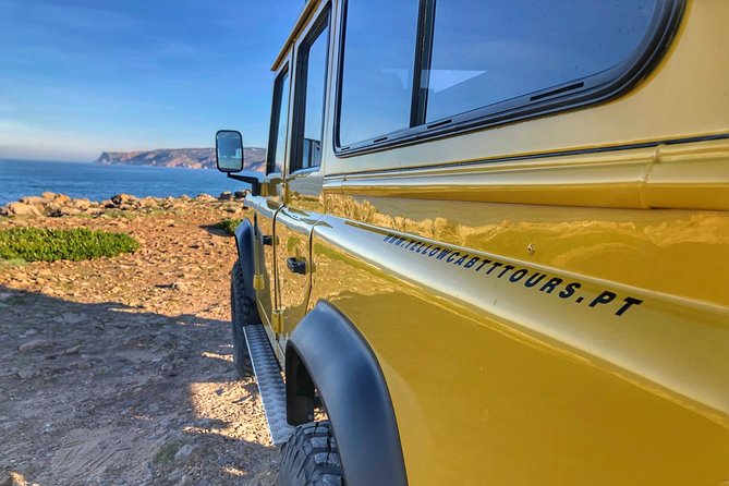 Sintra Cascais (Wine and Tapas) 4X4 Land Rover Panoramic Private Tour - The Monteiro Millionaire estate: a dreamy palace with alchemy symbols