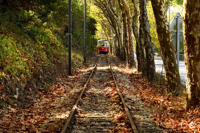Sintra Food & Wine Experience – Tapas, Tastings & Culture - Finishing in Sintra’s Historic Centre for Easy Exploring