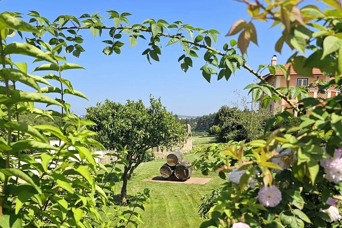 Sintra Food & Wine Experience – Tapas, Tastings & Culture - Guides, Pacing, and Why the Private Setup Feels Different