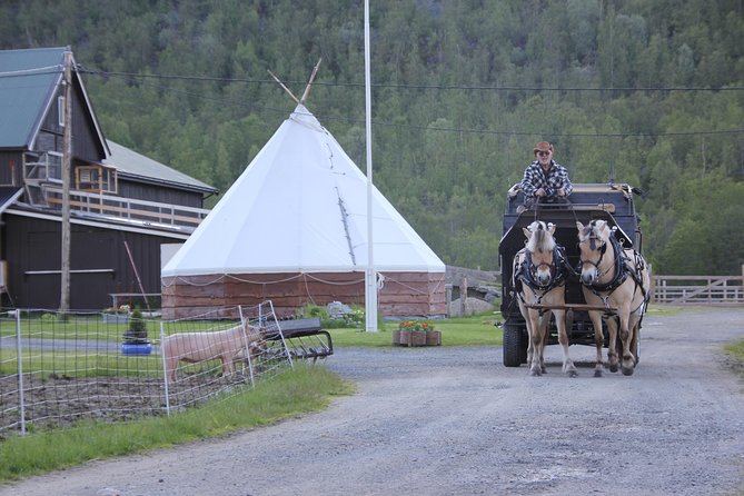 Sleigh Ride w/ Tapas Meal - Experience Arctic Farm Life - Sami tent (lavvo) tapas meal: cold Arctic plates, warm fire