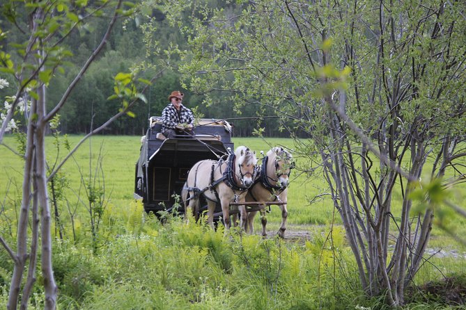 Sleigh Ride w/ Tapas Meal - Experience Arctic Farm Life - The working sheep farm: meeting the animals up close