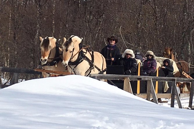 Sleigh Ride w/ Tapas Meal - Experience Arctic Farm Life - What to wear and pack for an Arctic 2.5-hour outing