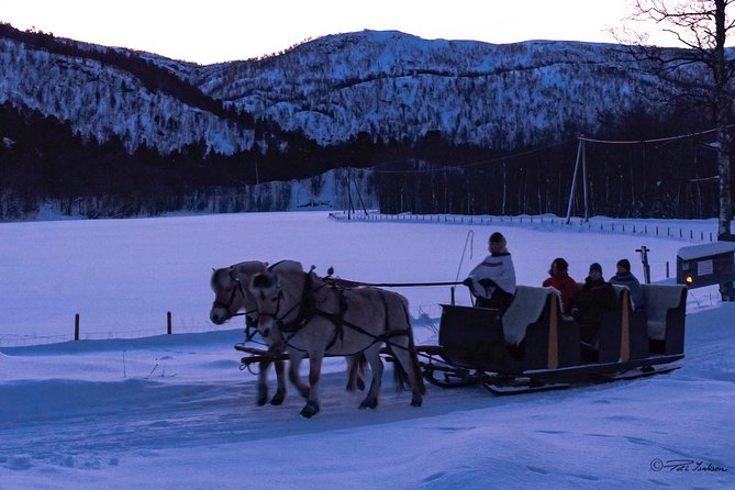 Sleigh Ride w/ Tapas Meal - Experience Arctic Farm Life - Price and value: $236.79 for private farm time and Sami-tent food