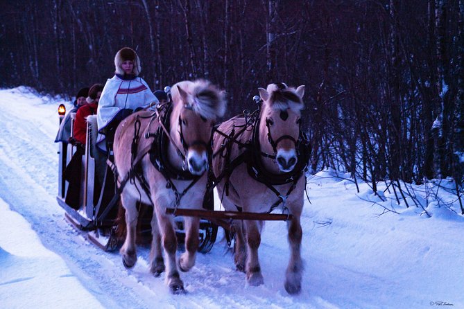 Sleigh Ride w/ Tapas Meal - Experience Arctic Farm Life - Who should book this sleigh-and-tapas farm experience?