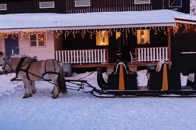 Sleigh Ride w/ Tapas Meal - Experience Arctic Farm Life - Aurora Borealis: how to think about it with a late-afternoon start