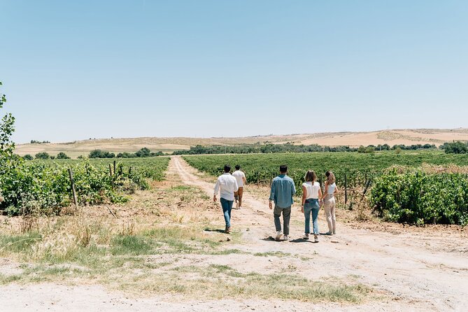 Spanish Villages & Winery Visit with Wine Tasting and Tapas Lunch - Transportation from Madrid Without the Bus Stress