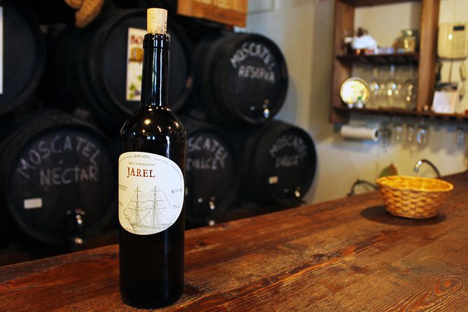 Sun and Wine Route - Small group, wine tasting and tapas included - Key points that make this day work