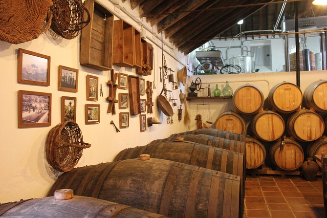 Sun and Wine Route - Small group, wine tasting and tapas included - Getting to Cómpeta: the morning drive from the coast