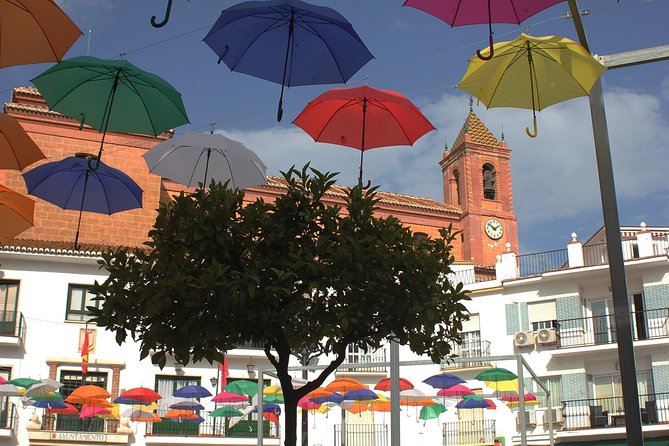 Sun and Wine Route - Small group, wine tasting and tapas included - The guide factor: explanations that click in plain language