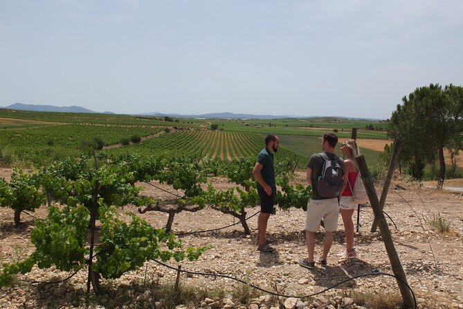 Tapas in the vineyards - Logistics that actually affect your day