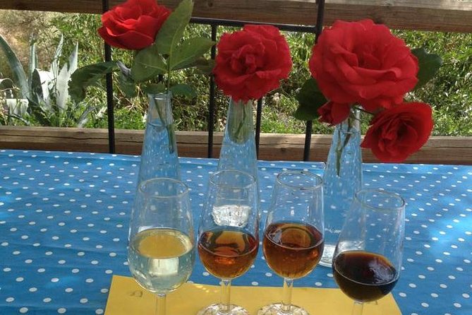 Tapas & Sherry an Andalucian Gourmet Experience. - Why this tapas-and-sherry day feels different than a standard class
