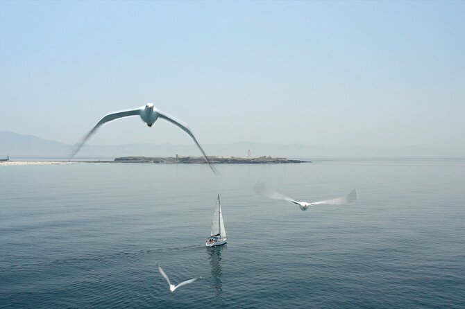 Tarifa Sailing and Snorkeling Excursion with tapas and drinks - Who this tour suits best (and who should think twice)