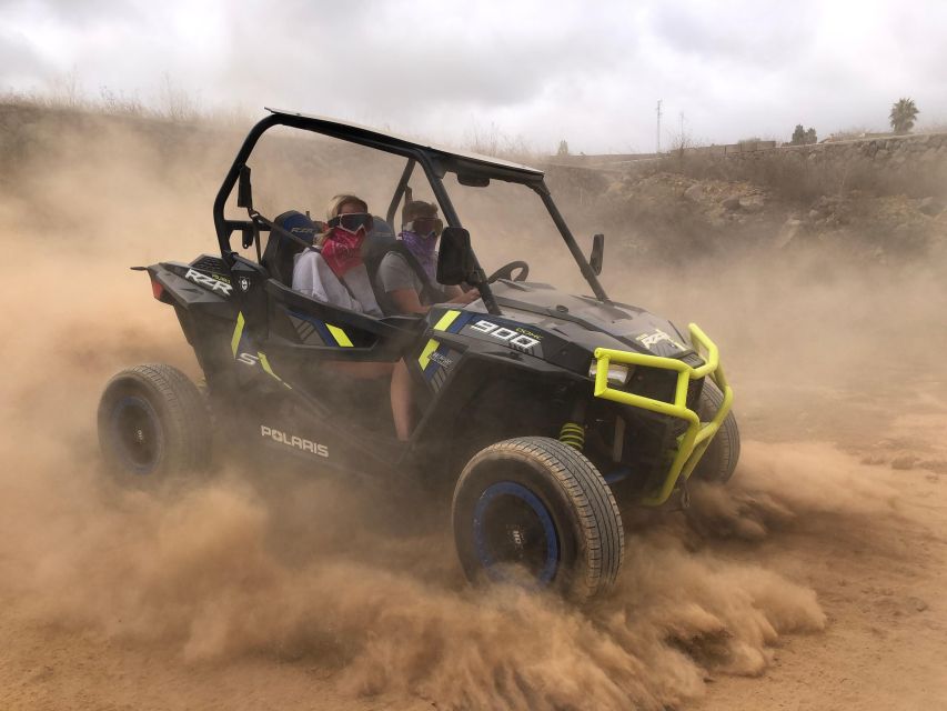 Tenerife: Volcano Teide Buggy Tour with Wine Tasting & Tapas - Key things you’ll care about