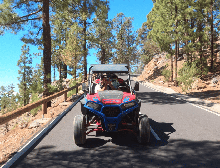 Tenerife: Volcano Teide Buggy Tour with Wine Tasting & Tapas - The bodega stop: Canarian potatoes, goat cheese, and a wine glass