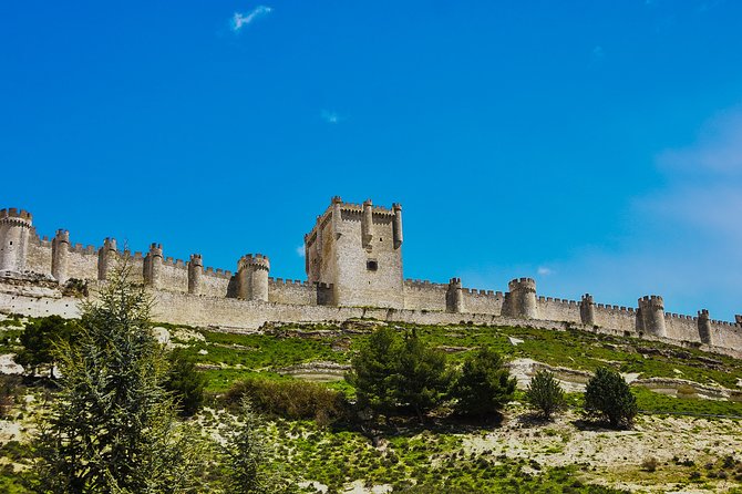Tour in Ribera del Duero "like a native", with traditional Spanish tapas - Ribera del Duero like a native: what kind of day is this?