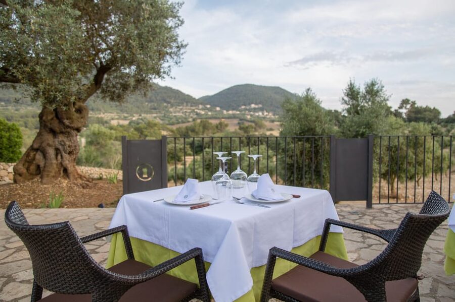 Treurer: Tapas Gourmet and Extra Virgin Olive Oil - What’s Included (and What You’ll Need to Budget for)