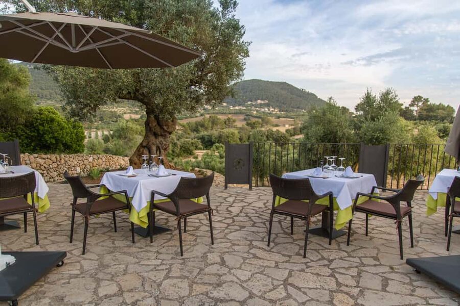 Treurer: Tapas Gourmet and Extra Virgin Olive Oil - Should You Book Treurer Tapas Gourmet and Extra Virgin Olive Oil?