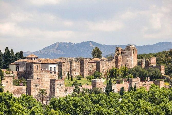 Ultimate Malaga History & Tapas - All Included Full Experience - The Market Stop: Three Sections of Real Málaga Food Culture