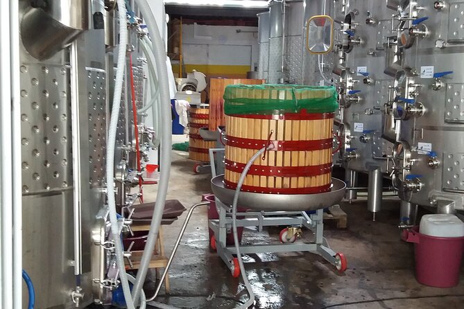 Urban winery tour, premium tasting flight & tapas - Meet Catarina and David: approachable, science-backed storytelling