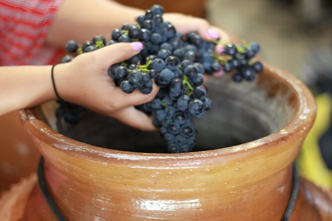 Urban winery tour, premium tasting flight & tapas - The sit-down tasting: five premium wines on one long table