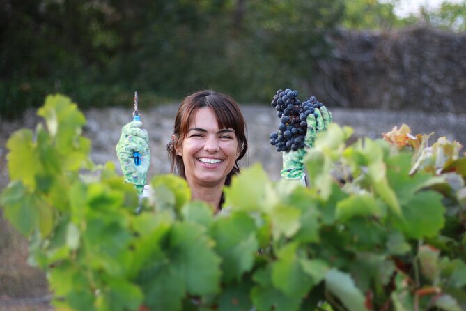 Urban winery tour, premium tasting flight & tapas - Tapas, cheese, and sourdough: the pairing is part of the lesson