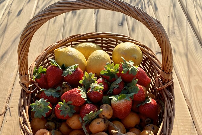 Vilamoura, Albufeira & Porches: Wine Tasting, Tapas & Music Tour - Live Portuguese music on site: how it changes the mood