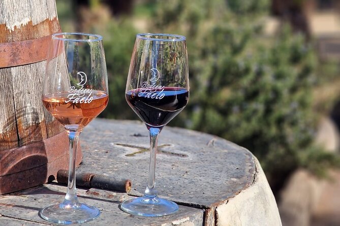 Wine and Tapas Tasting Tour from Alicante, Private Van - Key things to know before you go
