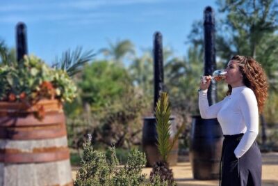 Wine and Tapas Tasting Tour from Alicante, Private Van - 3 or 4 wines: how to get value from every pour