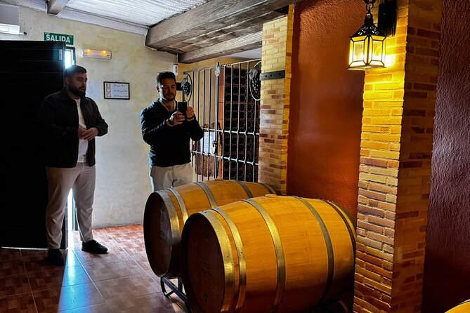 Wine and Tapas Tasting Tour from Alicante, Private Van - Price and value: what $69.81 buys you in real life