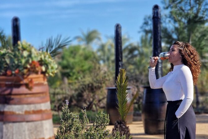 Wine and Tapas Tasting Tour from Alicante, Private Van - 3 or 4 wines: how to get value from every pour