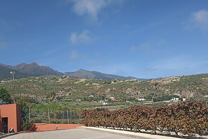 Wine, Canarian Tapas, Culture, VIP Private tour - photos included - Vilaflor town: old church vibes and high-altitude calm