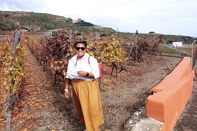 Wine, Canarian Tapas, Culture, VIP Private tour - photos included - Los Roques and Playa de El Roque: cave houses and black sand peace