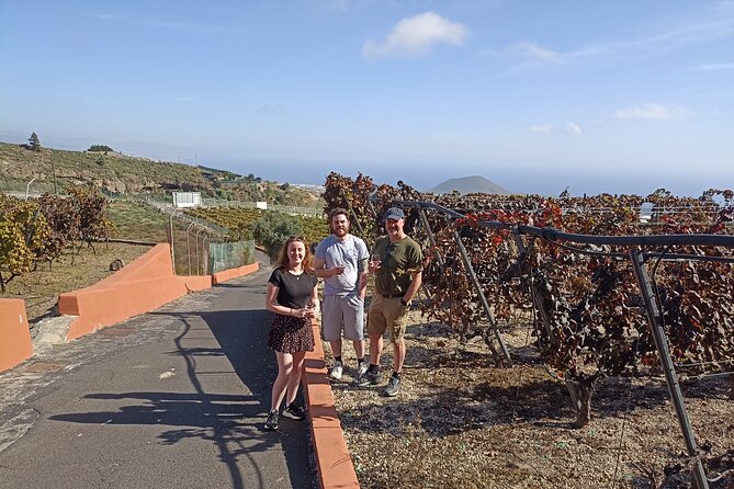 Wine, Canarian Tapas, Culture, VIP Private tour - photos included - Price and value: what $396.97 per group really covers