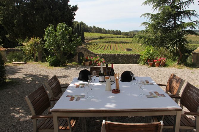 Wine & Cava Penedes Tour: Wineries, Wine Tasting and Tapas - Key highlights you’ll feel in real life