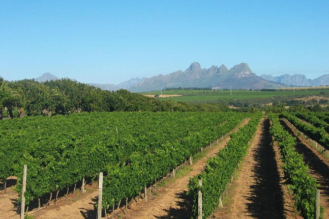 Wine & Cava Penedes Tour: Wineries, Wine Tasting and Tapas - Getting out of Barcelona: the part that makes wine days easier