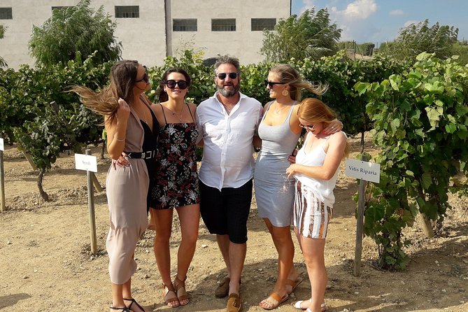 Wine & Cava Penedes Tour: Wineries, Wine Tasting and Tapas - Timing on a six-hour day: how to plan your day in Barcelona