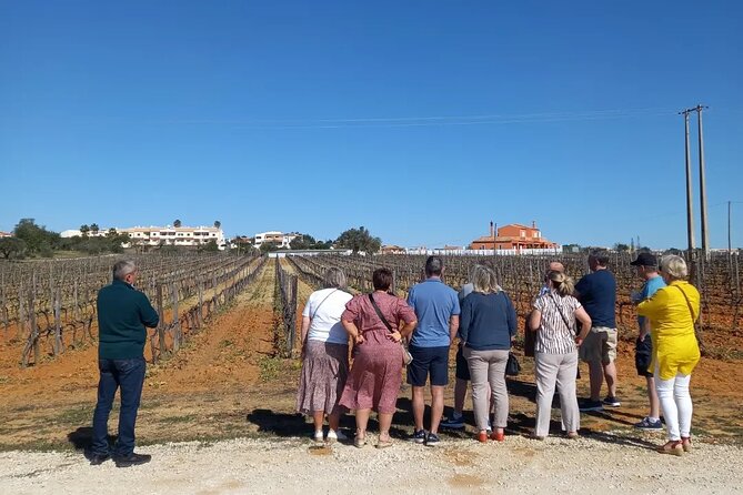 Wine Lovers: Winery Tour w/ Tasting & Tapas (Albufeira/Vilamoura) - Local firewater and dessert-style stops: the fun Algarve side