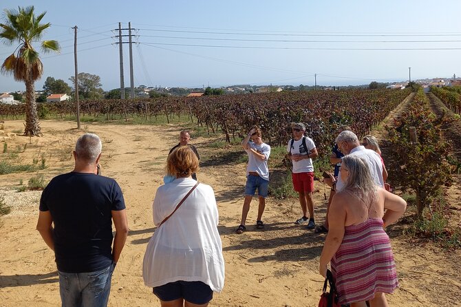 Wine Lovers: Winery Tour w/ Tasting & Tapas (Albufeira/Vilamoura) - Albufeira’s Centro Histórico viewpoints: a short history hit that helps you navigate