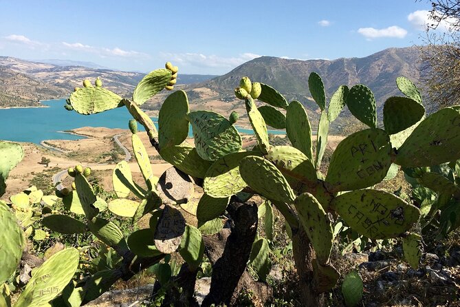 Wine, Tapas & Lake Zahara by e-bike incl Ronda pickup (full day) - Price and value: is $165.61 fair for a full day?