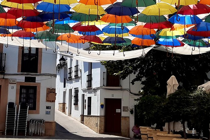 Wine & Tapas tour by electric bike (e-bike) including Ronda pickup (full day) - Stop 1: El Gastor Village Walk in About 10 Minutes